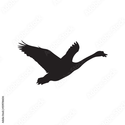 Flying tundra swan silhouette vector flat illustration design. on white background