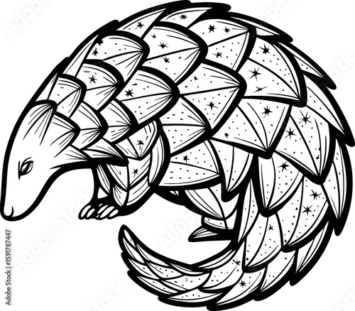 Pangolin curled in defensive posture detailed hand drawn scales, black and white wildlife illustration, nature animal art