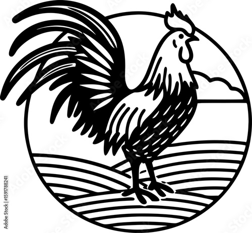 Rooster standing in field sunrise, stylized black and white illustration rural farmland, morning concept, farm animal symbol
