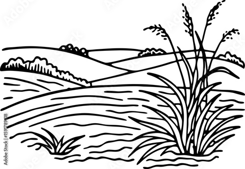 wheat field landscape illustration rural farming scene with rolling hills and grain plants in countryside