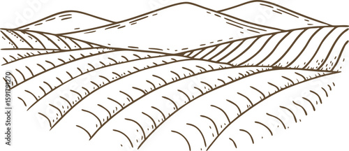 Rolling farmland landscape illustration hand drawn fields, hills, and rural agriculture scenery, sketch nature scene