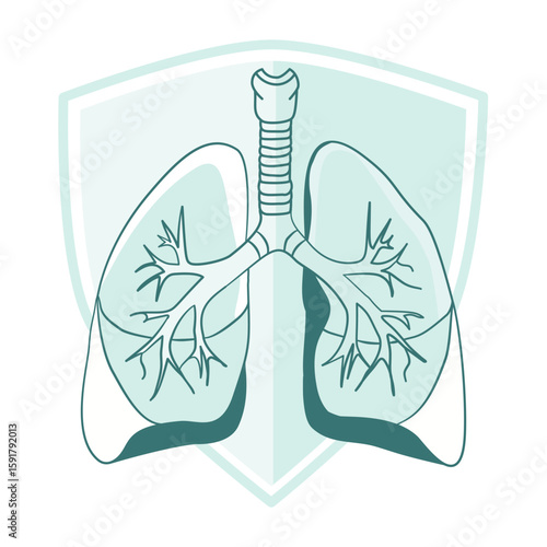 Lung illustration, white isolate background