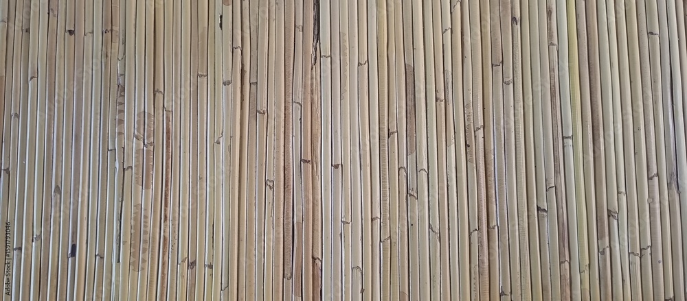 Fototapeta premium Vertical Bamboo Sticks Natural Wall Background
