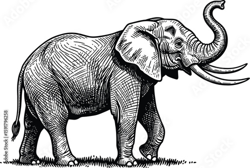 An impressive elephant illustration showcases the majestic animal with its long tusks and distinctive wrinkles on a white background.