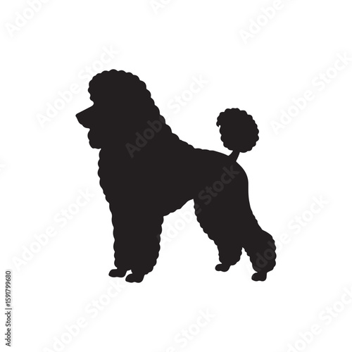 Poodle silhouette vector flat illustration design. on white background