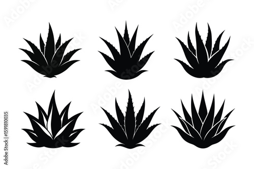Black Aloe vera silhouette vector 