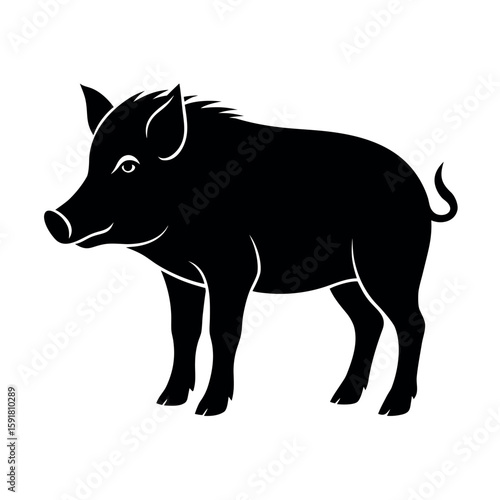 Boar with curved tusks in walking motion Line Art Vector illustration