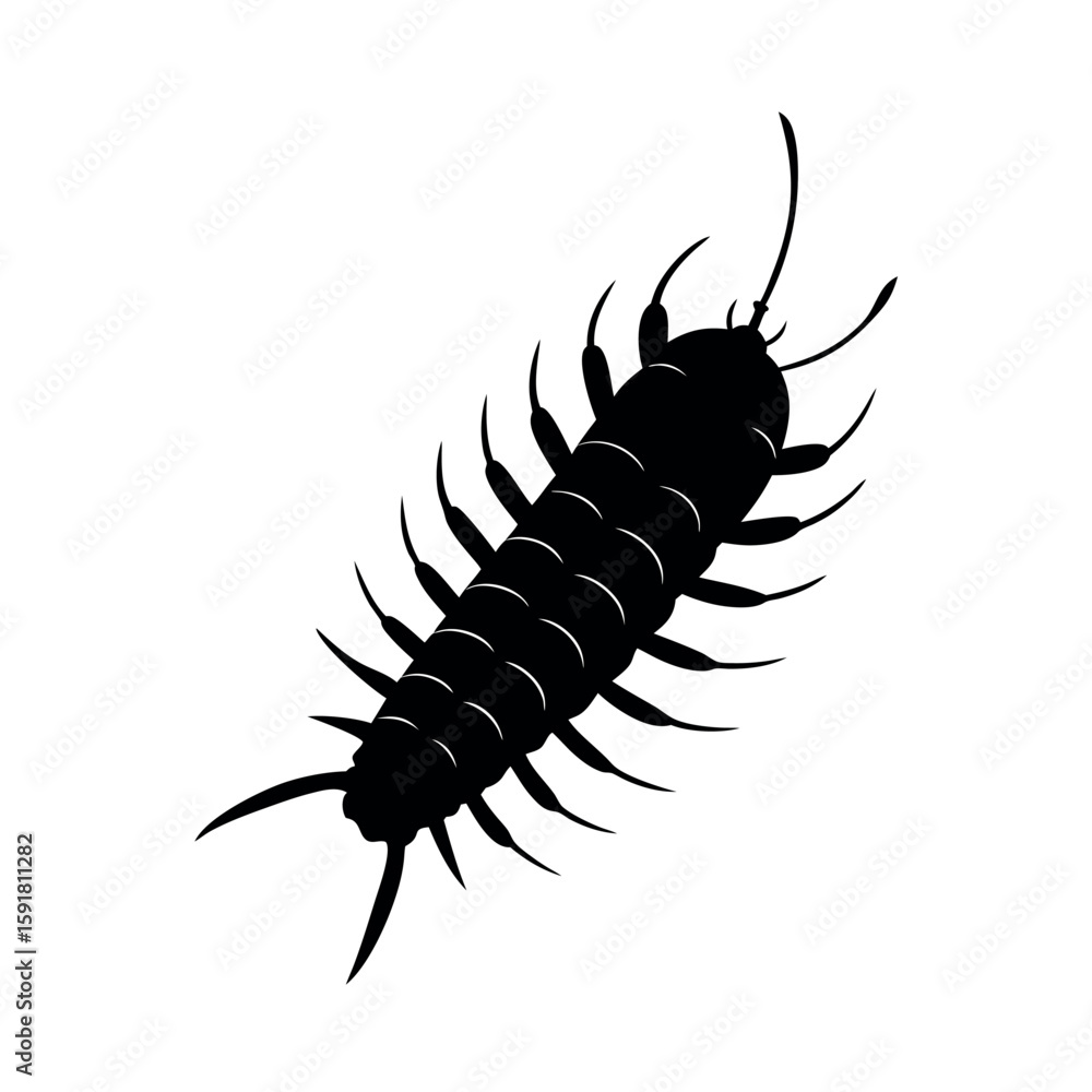 Fototapeta premium Long centipede crawling in segmented form Line Art Vector illustration