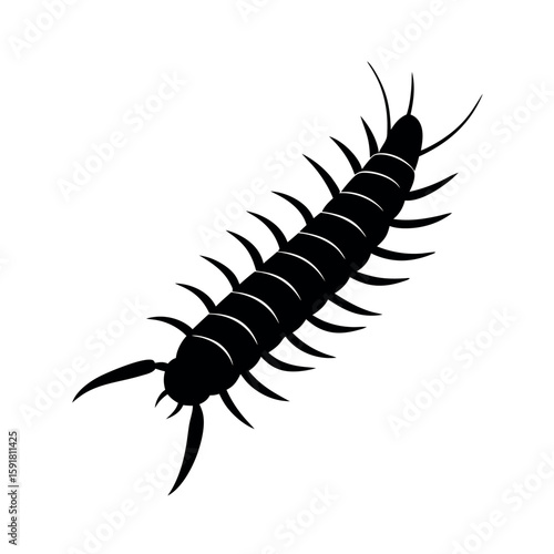 Creeping centipede with detailed body shape Line Art Vector illustration
