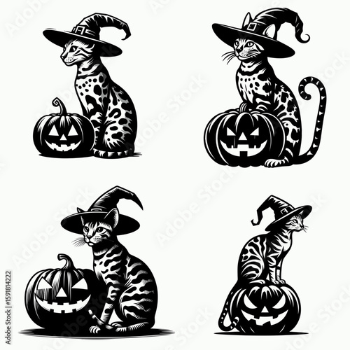 Bengal Cat wear witch hat and sitting on jack o pumpkin. Halloween Spooky Scary Trick or Treat Haunted Ghost Clipart Line Art Vector Illustration. Exotic feline with peaked cap resting.