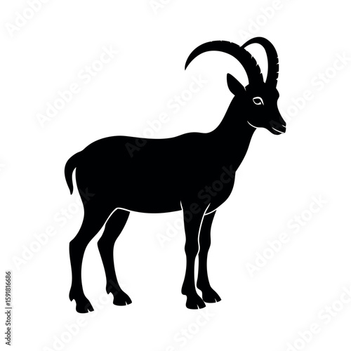 Alpine ibex shown in calm standing pose Line Art Vector illustration