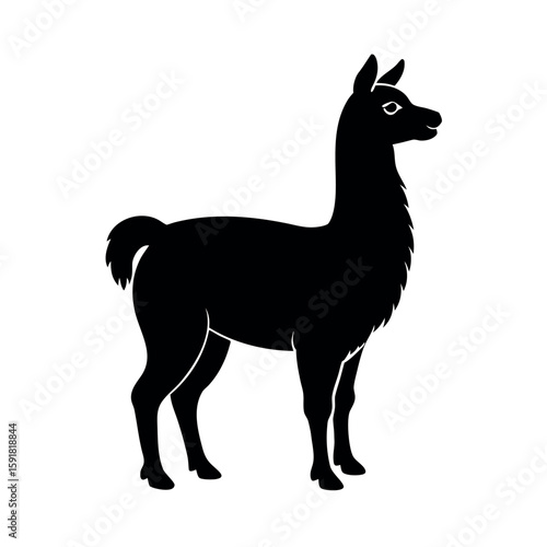 Friendly llama in calm upright position Line Art Vector illustration
