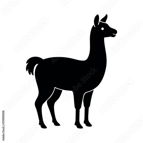 Elegant llama standing with fluffy coat Line Art Vector illustration