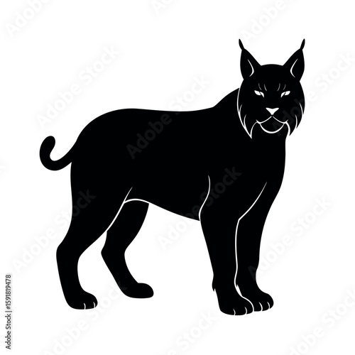 Lynx standing in quiet observant posture Line Art Vector illustration