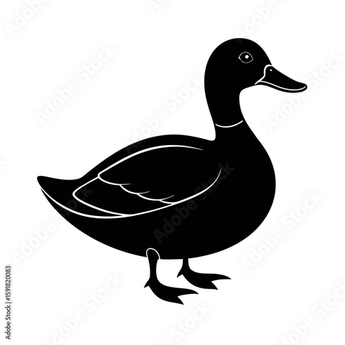 Mallard duck walking calmly in waterfowl form Line Art Vector illustration