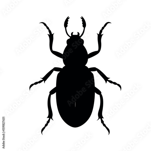 Powerful beetle with thick legs and sharp features Line Art Vector illustration