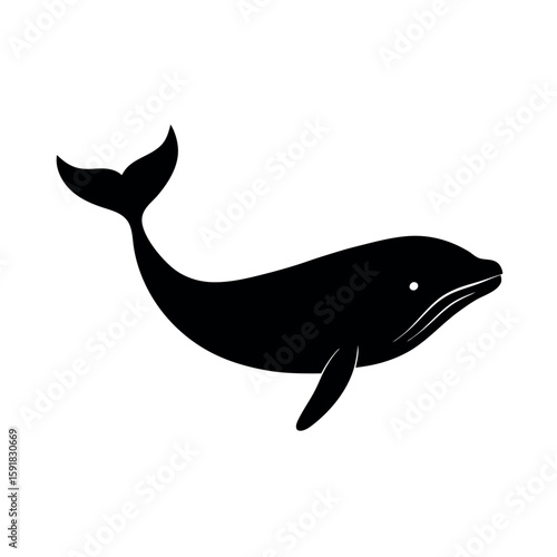 Large whale gliding forward in motion Line Art Vector illustration