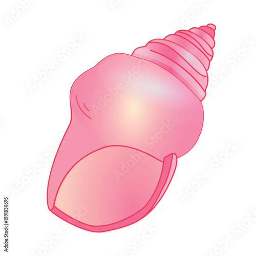 Pink seashell cartoon spiral mollusk