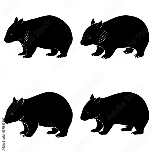 Four black wombat silhouettes in various poses showcasing their distinct body shapes and features clearly