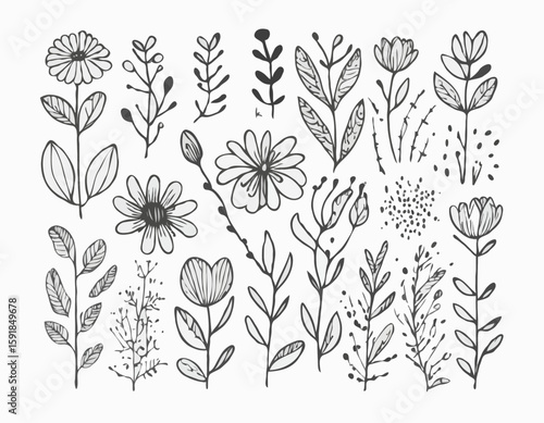 Doodle ink floral sketch set, vector flower brushstroke collection, hand drawn organic icon kit. Abstract naive botanical outline modern spring decoration design element. Doodle floral texture clipart