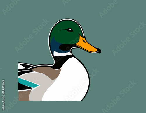 Mallard