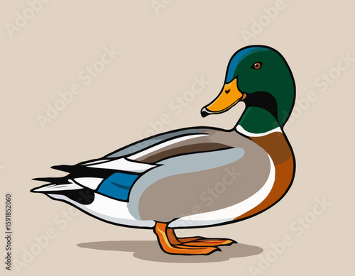 Mallard