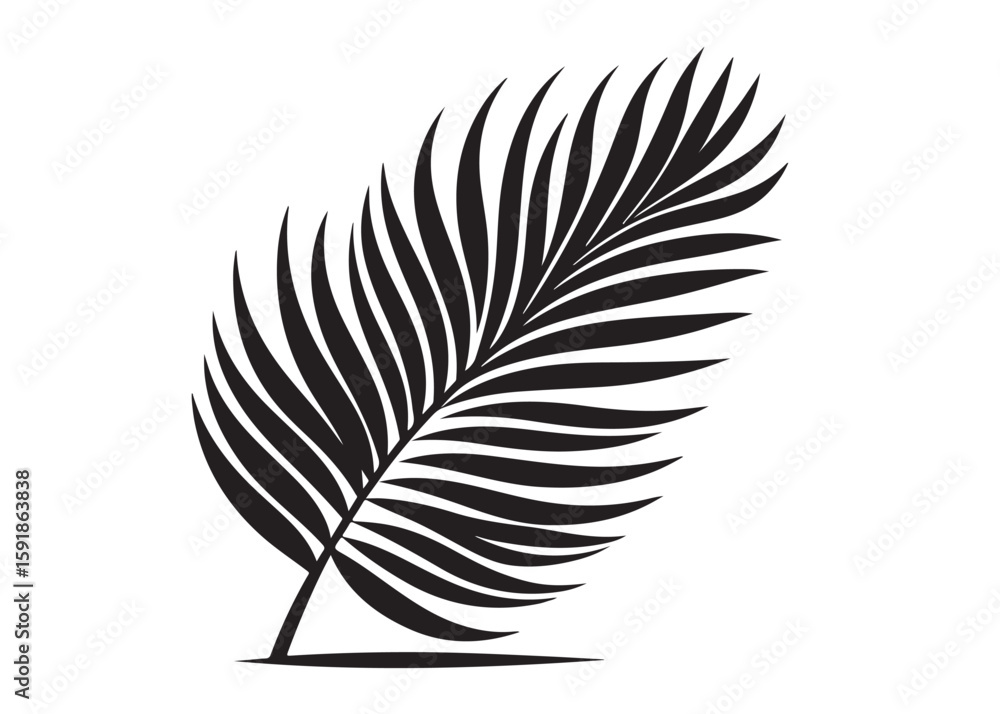 Obraz premium palm leaf logo silhouette vector, tropical palm leaf silhouette vector illustration, palm tree leaf black silhouette, simple black silhouette palm leaf logo silhouettes vector on a white background
