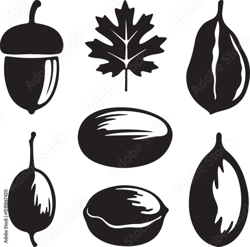 Acorn leaf and nuts icons food nature