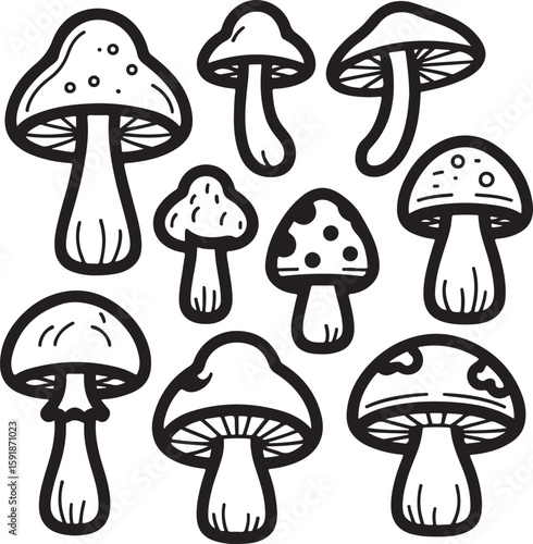 Black and white mushroom illustrations fungi nature