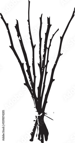 Black branches tied together twigs white