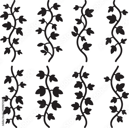 Black climbing vines with leaves plant botanical