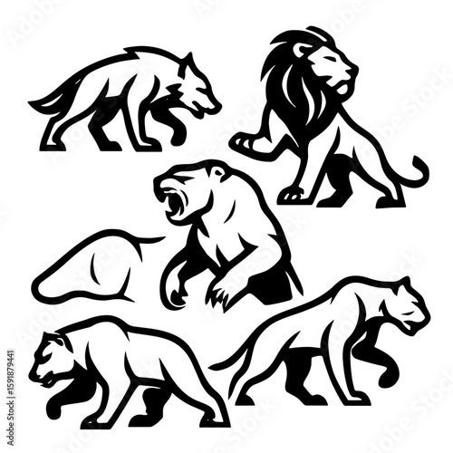 Black wild animals roaring walking and sitting lion panther