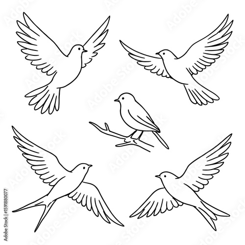 Five delicate line art bird silhouettes in flight and perched birds flying