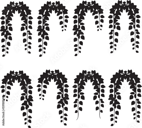 Elegant black vine arches with cascading leaves plant