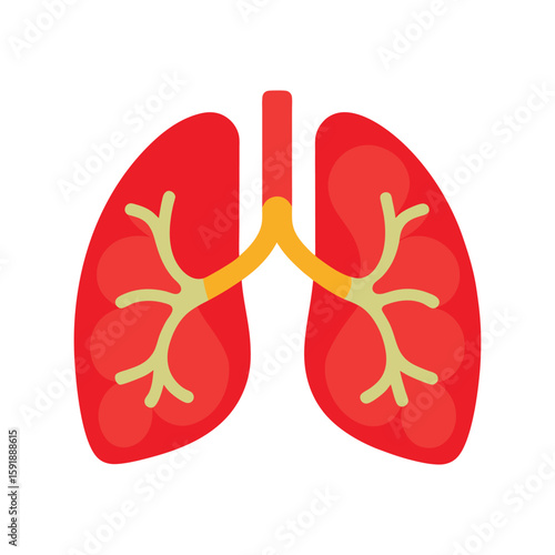 Detailed Human Lungs Organ Illustration, Respiratory System and Health Icon