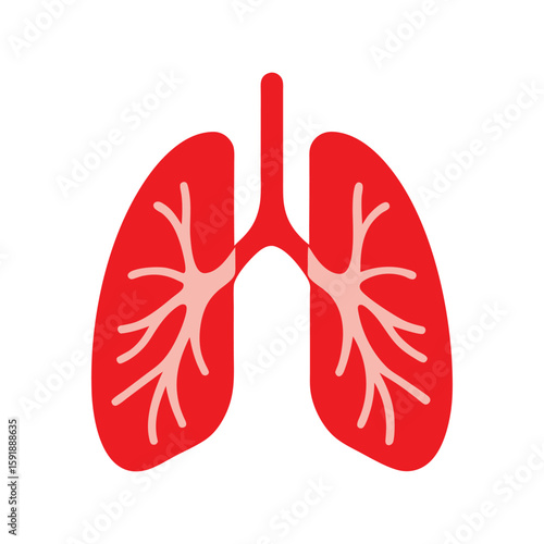 Detailed Human Lungs Organ Illustration, Respiratory System and Health Icon