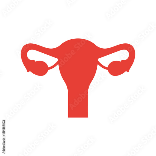 Female Uterus and Ovaries: Reproductive System Anatomy Vector
