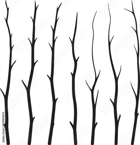 Natural twig silhouettes twigs branches