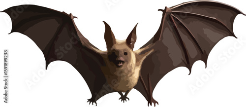 Flying Bat Illustration with Wings Spread Isolated on White Background