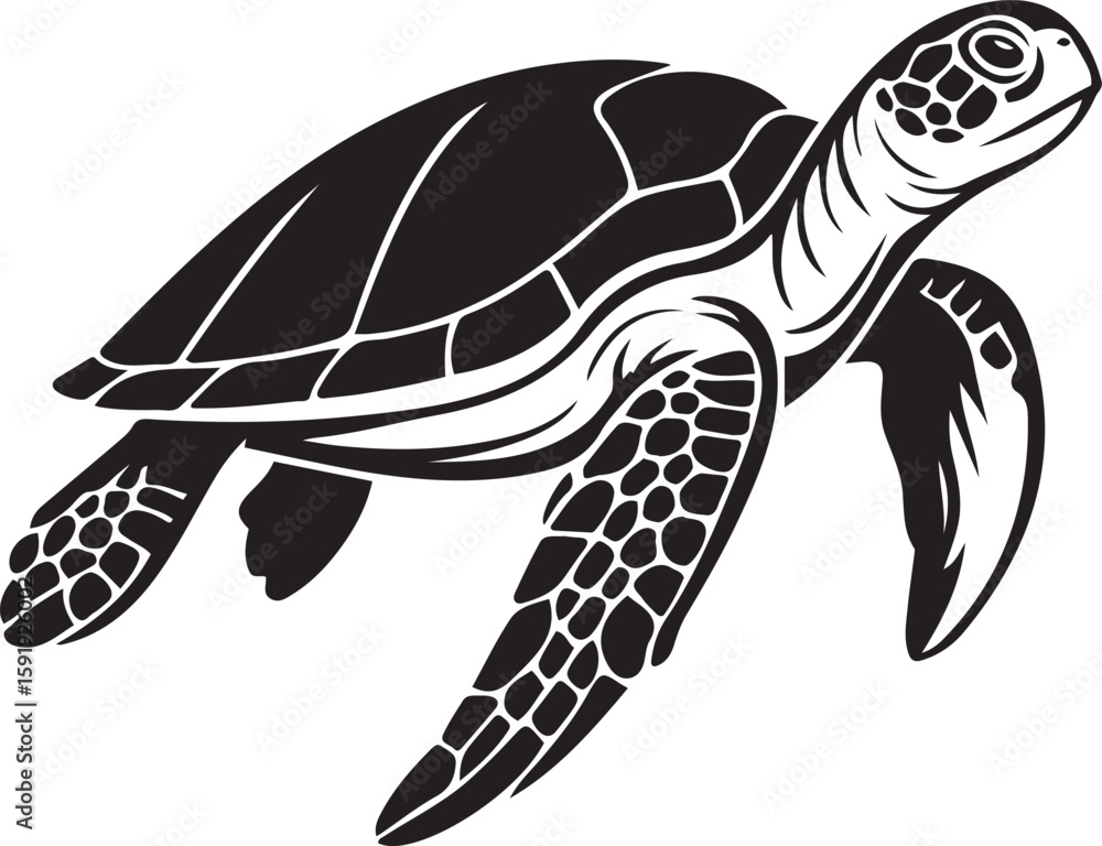 Obraz premium Line art turtle for minimalist branding, Turtle graphic for modern layout