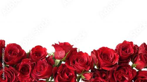 Fototapeta Naklejka Na Ścianę i Meble -  Red Rose Floral Frame Border Arrangements on transparent background