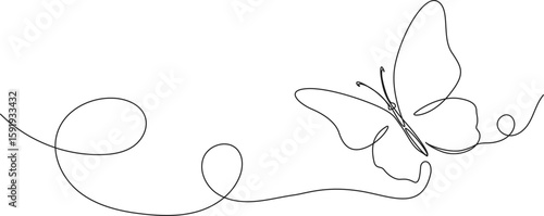continuous single line drawing of a butterfly, line art vector illustration
