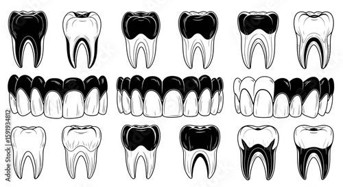 Set of teeth vector