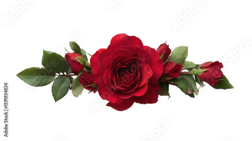 Red Rose Floral Frame Border Arrangements on transparent background