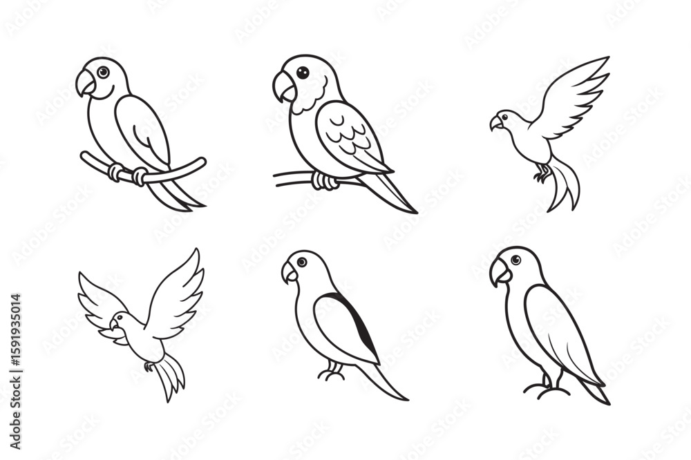 Fototapeta premium line art parrot set bundle on the white background