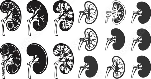 Black Line Human Kidney Icons Set including Flat Organ Medical Anatomy and Healthcare Symbol Collection with Minimal Kidney Icon Group for UI Web Hospital Urology and Biology Projects