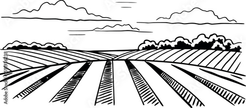 "Hand Drawn Agricultural Field Landscape – Black and White Farmland Scene with Clouds and Crops"