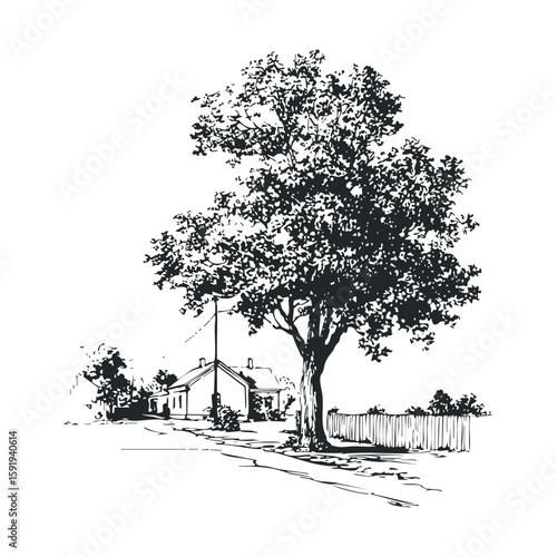 Detailed view of a rural home with tree along a quiet street
