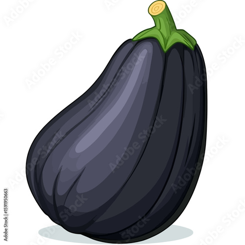 Acorn squash on white background 