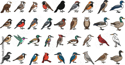 An assortment of thirty different cartoon birds displayed on a white background in a pattern format